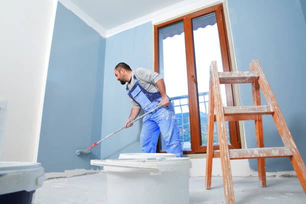 Reliable Edgewater, NJ Mold Removal Solutions