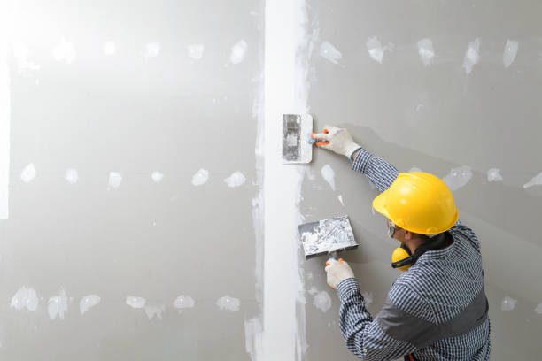 Biohazard Mold Removal in Edgewater, NJ